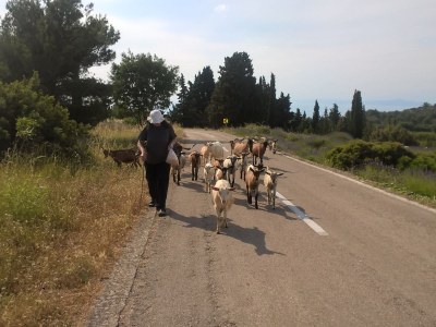 Cottage Casa Levanda - Environment photo 27