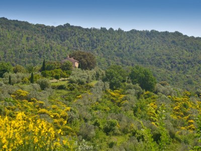 Holiday house Casa Mia - Environment photo 25