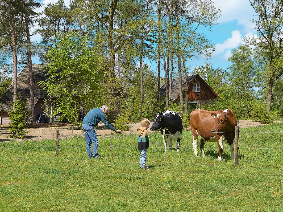 Holiday house Komfort, 2 Badezimmer - Outdoor photo 5