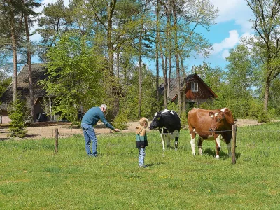 Holiday house Komfort, 2 Badezimmer - Outdoor photo 5