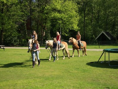 Holiday house Komfort, 2 Badezimmer - Environment photo 18