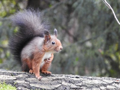 Holiday house Komfort, 2 Badezimmer - Environment photo 33