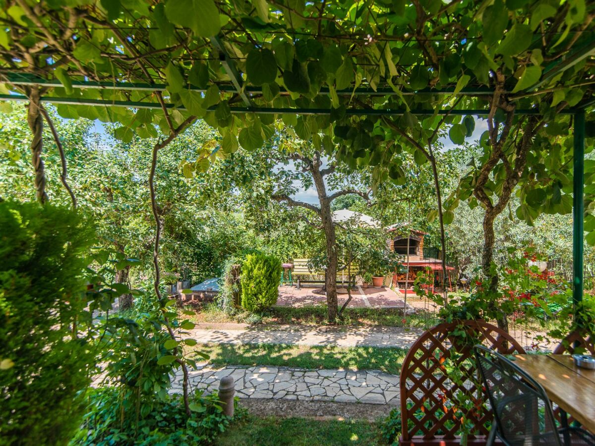 Apartment - Apartment Teri with Terrace and Garden