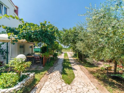 Apartment - Apartment Teri with Terrace and Garden - Outdoor photo 7