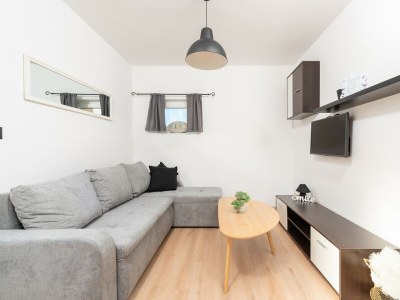 Apartment Dobrec with Shared Pool - Apartment No.2 with Terrace - Features photo 9