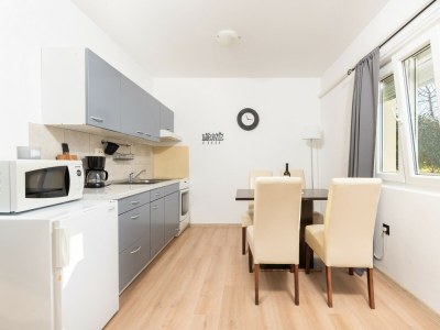 Apartment Dobrec with Shared Pool - Apartment No.2 with Terrace - Features photo 16