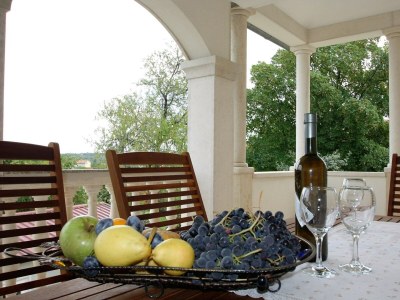 Apartment - Apartment  Marija Kastelir with Balcony and Garden View - Outdoor photo 7