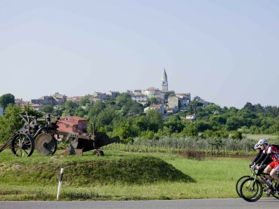Apartment - Apartment  Marija Kastelir with Balcony and Garden View - Environment photo 24