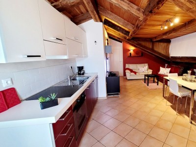 Apartment - Apartment Sofia with Roof Terrace - Features photo 13