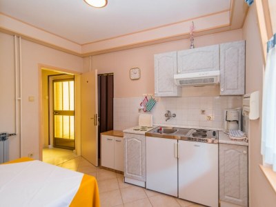 Apartment Vilma Funtana - Apartment No.1 with Terrace - Features photo 14