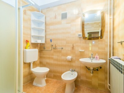 Apartment Vilma Funtana - Apartment No.1 with Terrace - Features photo 17