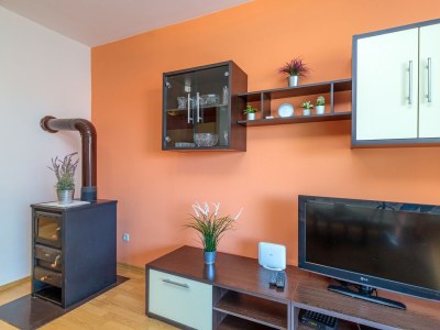 Apartment Apartments Vita - One-Bedroom Apartment No.1 with Balcony - Features photo 15