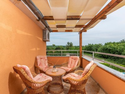 Apartment Villa Visnjan with Pool - One-Bedroom Apartment No.2 with Pool View - Outdoor photo 2