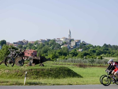 Apartment Villa Visnjan with Pool - One-Bedroom Apartment No.2 with Pool View - Outdoor photo 16