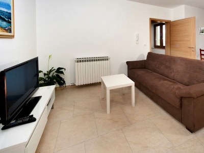 Apartment Beakovic Brulo - Apartment N3 with Balcony - Features photo 10