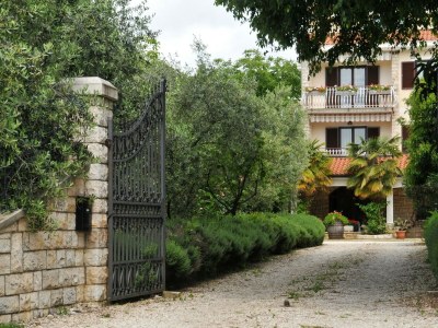 Apartment Haus Liliana  - Apartment Liliana 1 with Balcony in Vabriga - Apartment