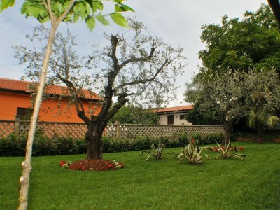 Apartment Haus Liliana  - Apartment Liliana 1 with Balcony - Outdoor photo 8