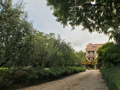 Apartment Haus Liliana  - Apartment Liliana 1 with Balcony - Outdoor photo 9