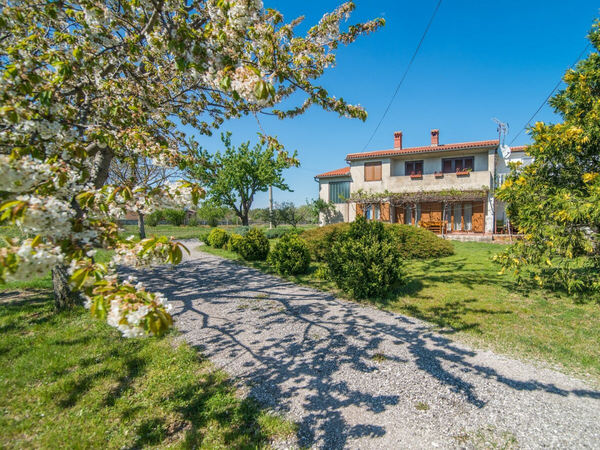 Apartment - Apartment with Terrace in Filipana