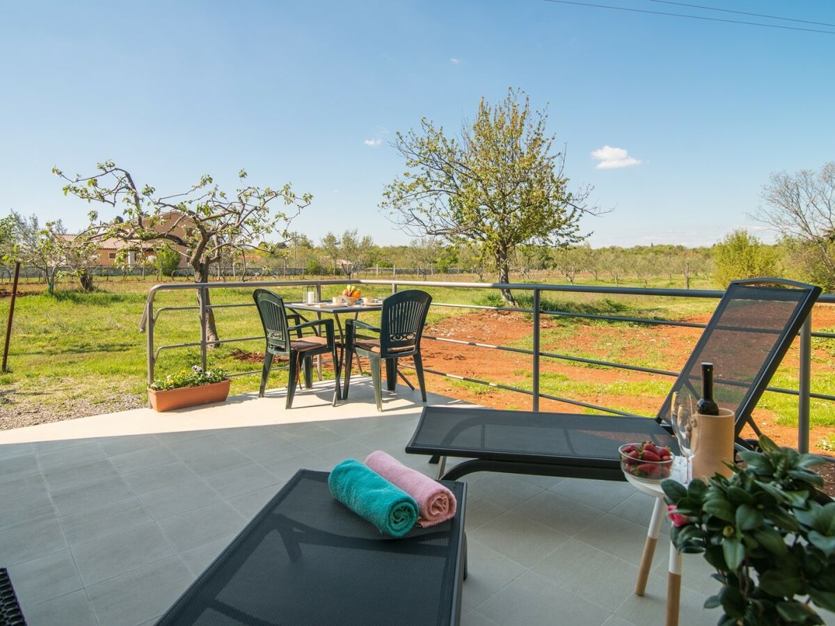 Apartment - Apartment with Terrace in Filipana - Outdoor photo 2