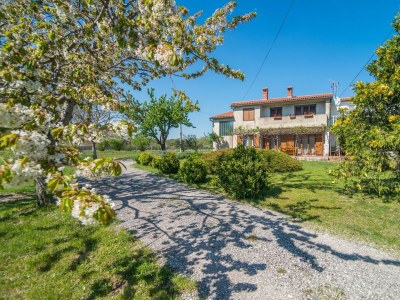 Apartment - Apartment with Terrace in Filipana in Marcana - Apartment