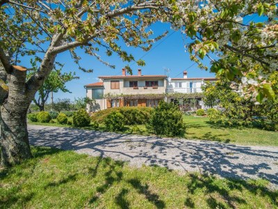 Apartment - Apartment with Terrace in Filipana - Outdoor photo 4