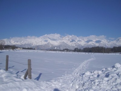 Holiday apartment Ferienhaus Mandl, Pool, Sauna - Environment photo 20