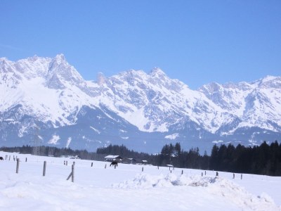 Holiday apartment Ferienhaus Mandl, Pool, Sauna - Environment photo 21