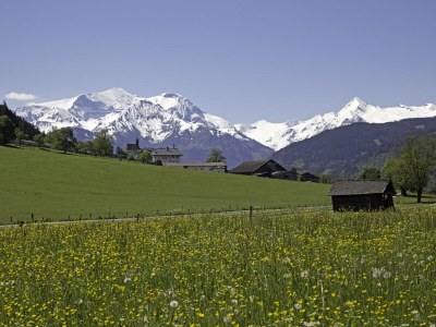 Holiday apartment Ferienhaus Mandl, Pool, Sauna - Environment photo 25