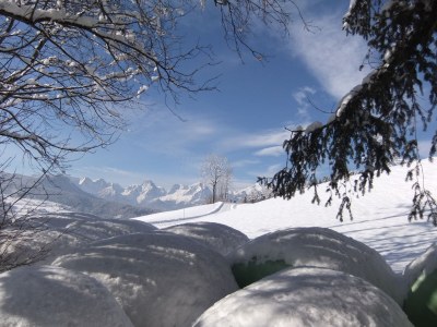 Holiday apartment apartement - Outdoor photo 2