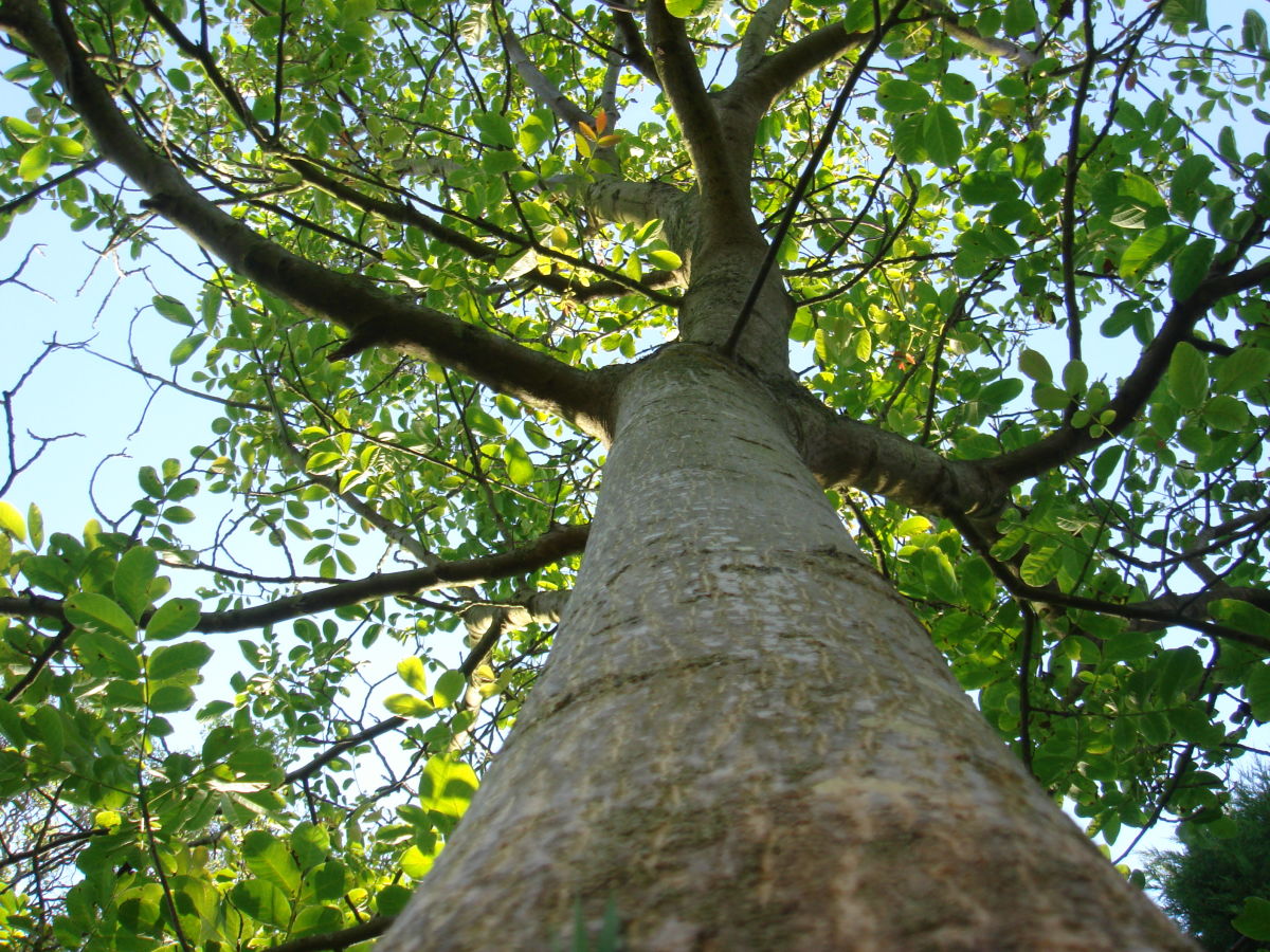 Holiday house Ouddorp aan Zee - Outdoor photo 2