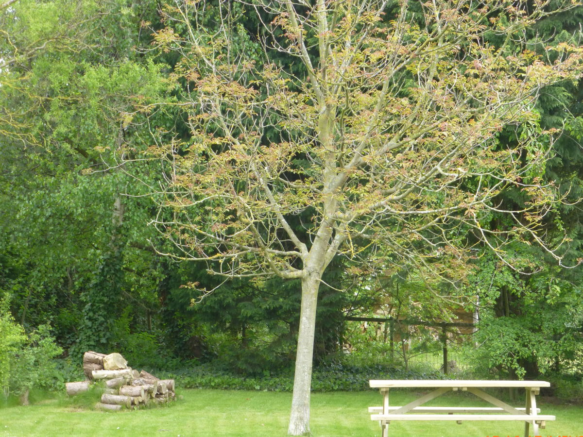 Holiday house Ouddorp aan Zee - Outdoor photo 5