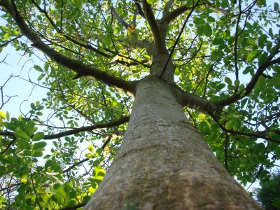 Holiday house Ouddorp aan Zee - Outdoor photo 2