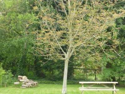 Holiday house Ouddorp aan Zee - Outdoor photo 5