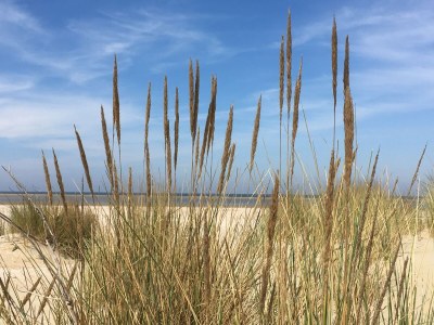 Holiday house Ouddorp aan Zee - Outdoor photo 14
