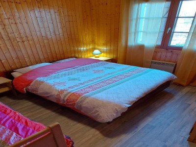Chalet Wohnung in den Vogesen - Features photo 17