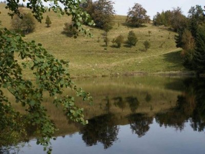 Chalet Wohnung in den Vogesen - Environment photo 32