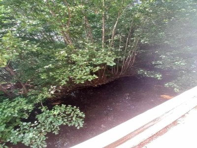 Chalet Wohnung in den Vogesen - Environment photo 33