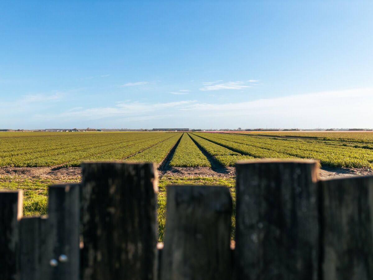 Holiday house Yperhof 43 - Outdoor photo 5
