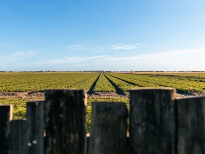 Holiday house Yperhof 43 - Outdoor photo 5
