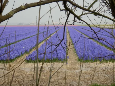 Holiday house Yperhof 43 - Outdoor photo 9