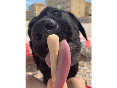 Cottage Casa Rustica with private pool - Features photo 26