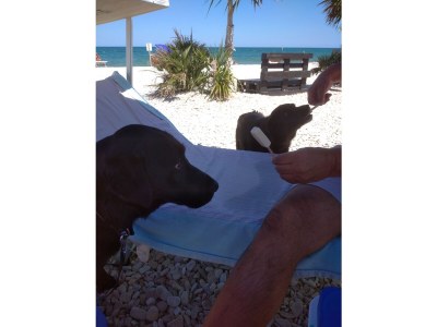 Cottage Casa Rustica with private pool - Environment photo 28