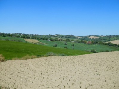 Cottage Casa Rustica with private pool - Environment photo 32