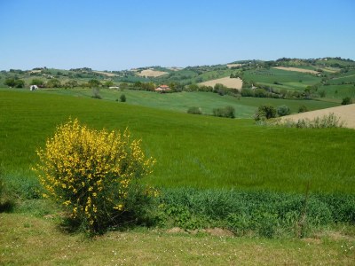 Cottage Casa Rustica with private pool - Environment photo 34