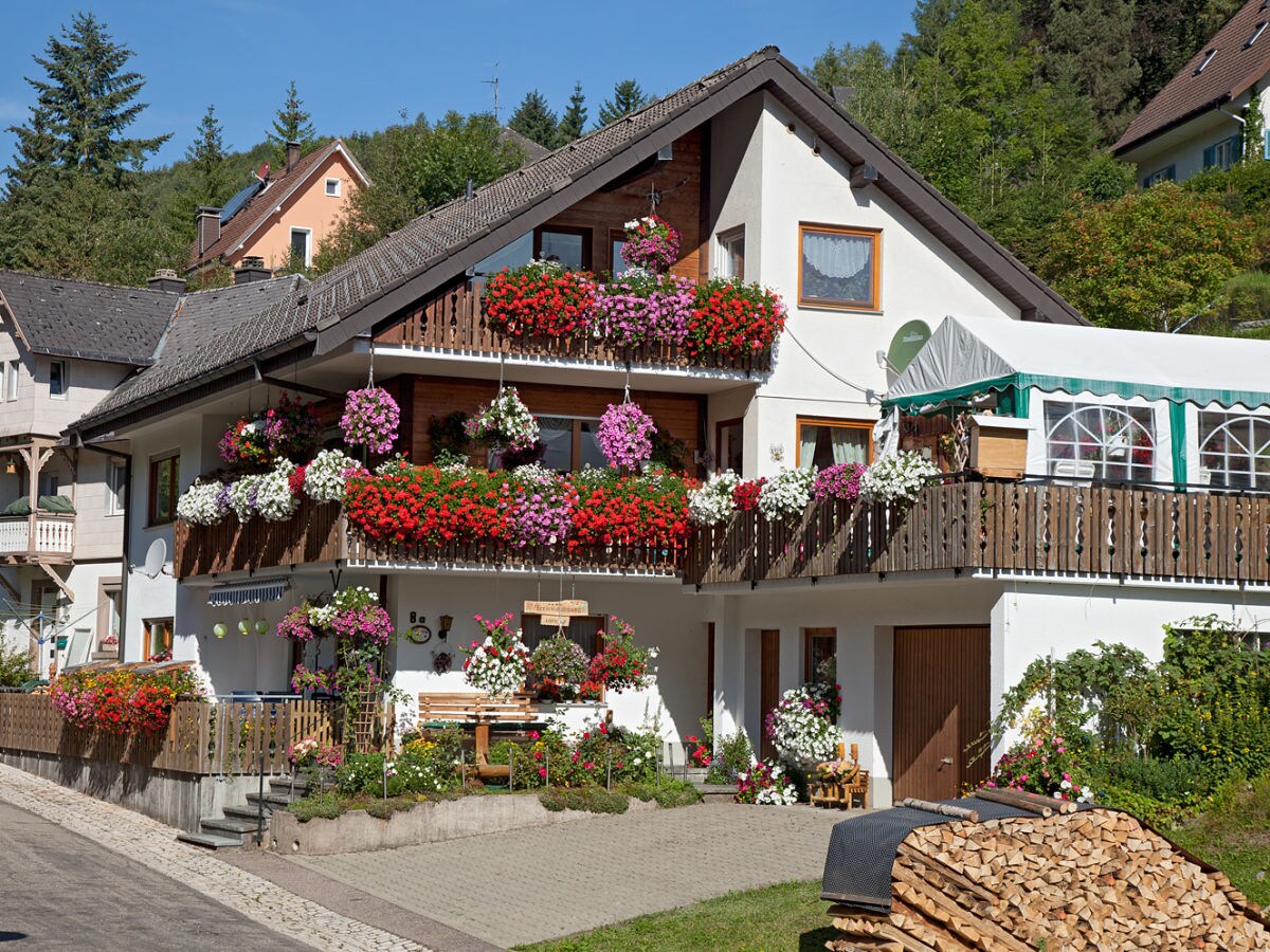 Holiday apartment Waltraud Heitz - Outdoor photo 2