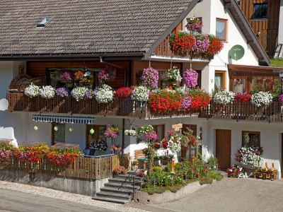 Holiday apartment Waltraud Heitz in Titisee-Neustadt - Holiday apartment