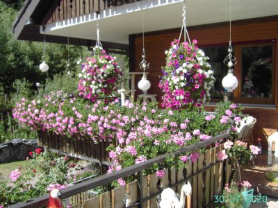 Holiday apartment Waltraud Heitz - Outdoor photo 16