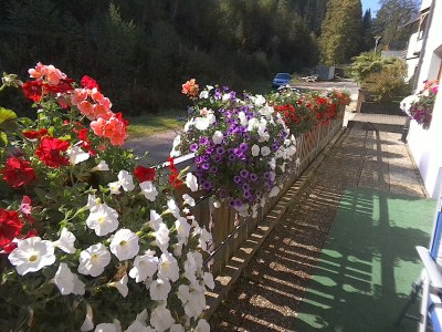 Holiday apartment Waltraud Heitz - Features photo 32