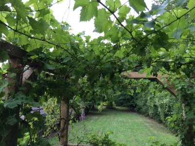 Holiday house Hütte in Frankreich mit Garten am See - Outdoor photo 12